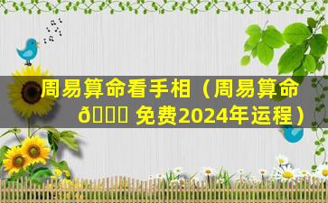 周易算命看手相（周易算命 🍁 免费2024年运程）